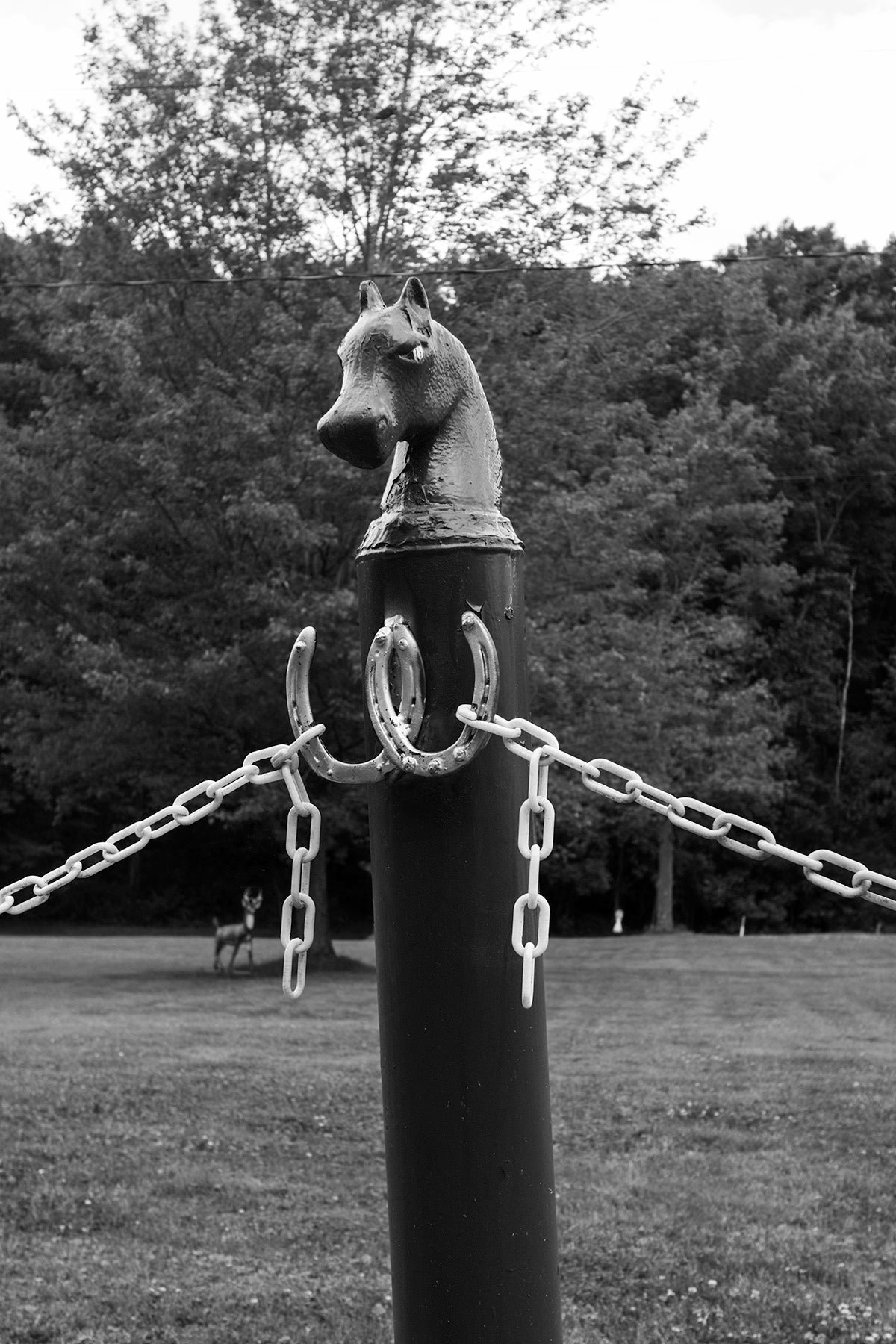 i found a horse by Madisyn Simington