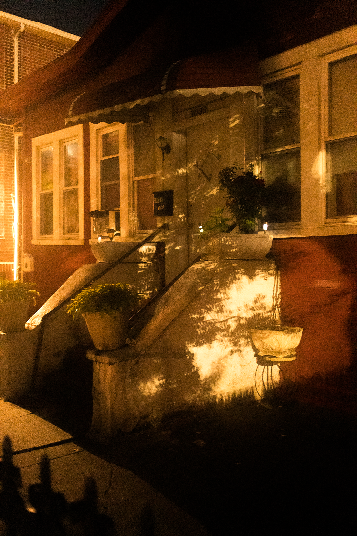 coyote ugly by Madisyn Simington